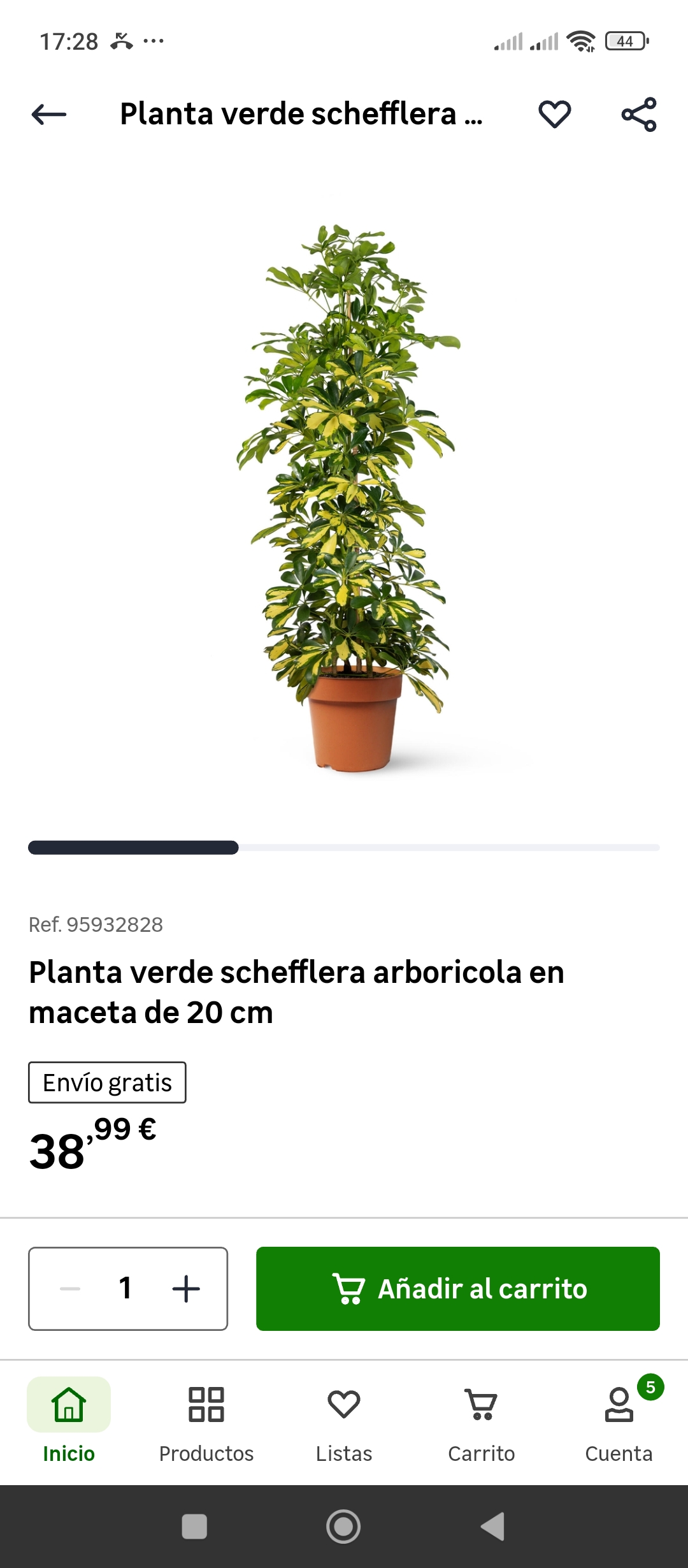 Plantas envío gratis